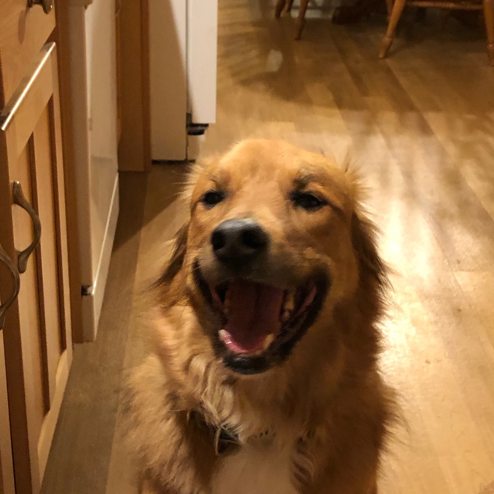 Meet your Posher, Eemily